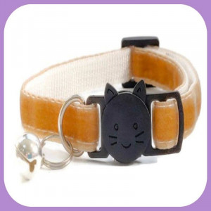 Kitten-096